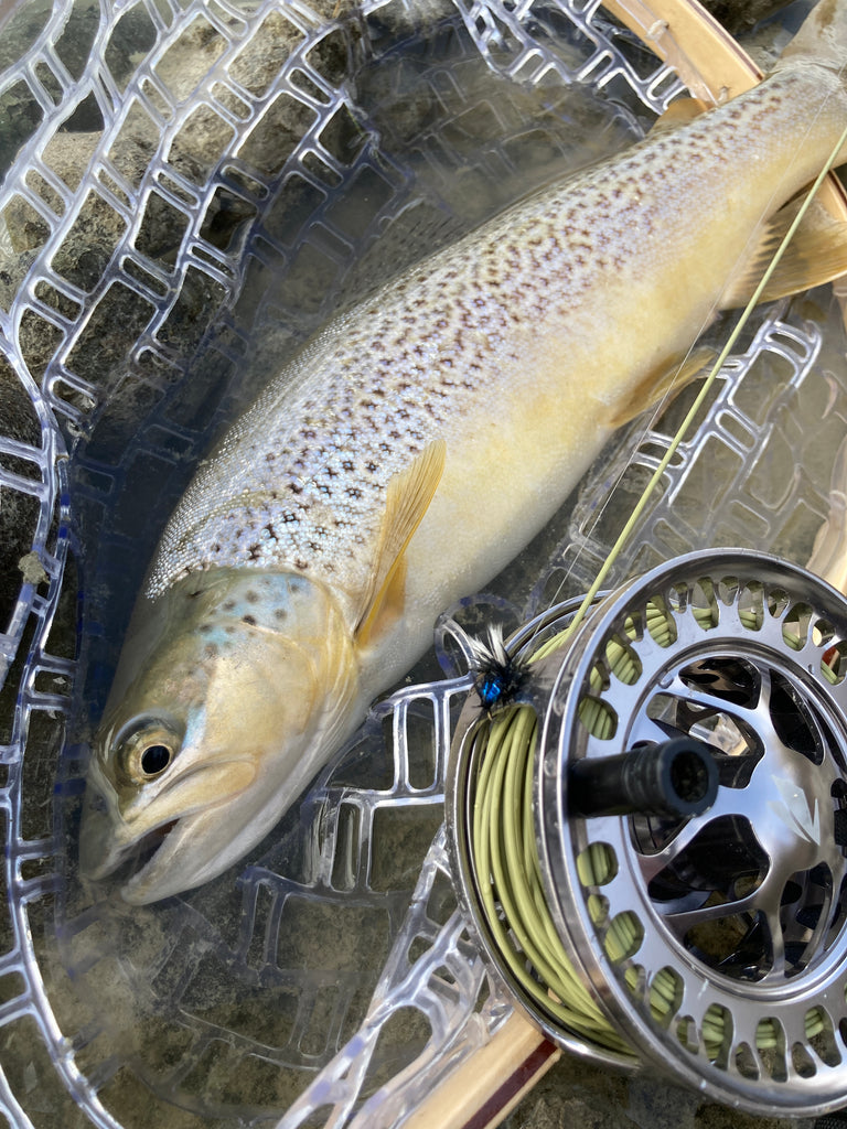 How to Fly Fish the Twizel and Tekapo Canal (Dry Flies)