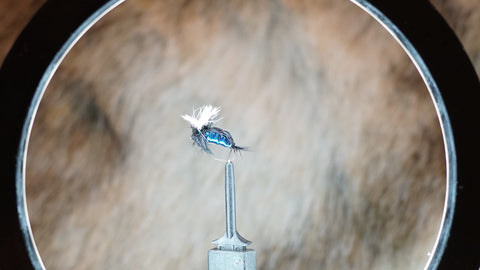 Blowfly Humpy Blue Bottle Best Dry